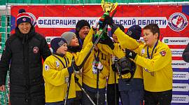 В Туле и Новомосковске завершился турнир по хоккею в валенках среди школьников