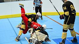 В Туле впервые прошел чемпионат России по хоккею на роликах