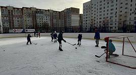 4 января. Каникулы с Федерацией хоккея Тульской области