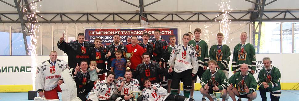 Чемпионат Тульской области по хоккею на роликах среди мужских команд - 2026