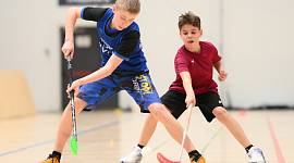 Финал в старшей возрастной группе областного Первенства ШСК по флорболу