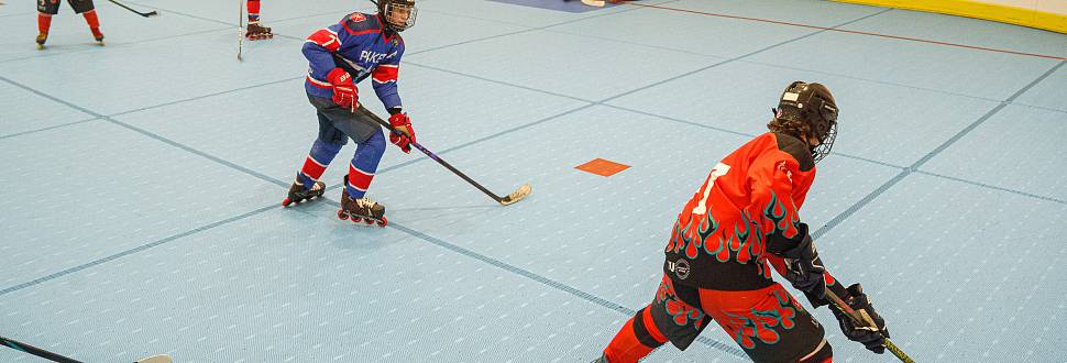 В Туле стартовали игры Фестиваля по хоккею на роликах среди дворовых команд 2009-2010 г.р.