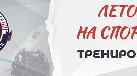 С 1 июля в Тульской области стартуют тренировочные сборы для дворовых хоккеистов