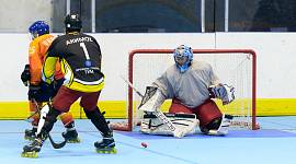 В Туле завершились соревнования по хоккею на роликах среди взрослых команд