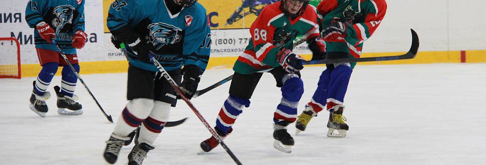 В Тульской области начались игры Школьной хоккейной лиги