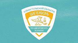 Илья Коробко поздравил дворовые команды Тульской области с началом игр Детского Кубка "Шаг в жизнь"
